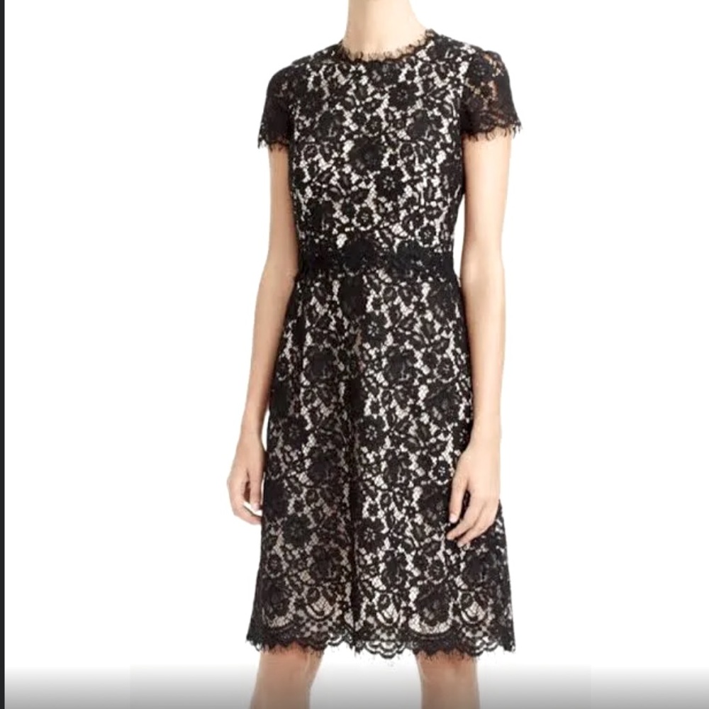 J. Crew Fit and Flare Lace Dress